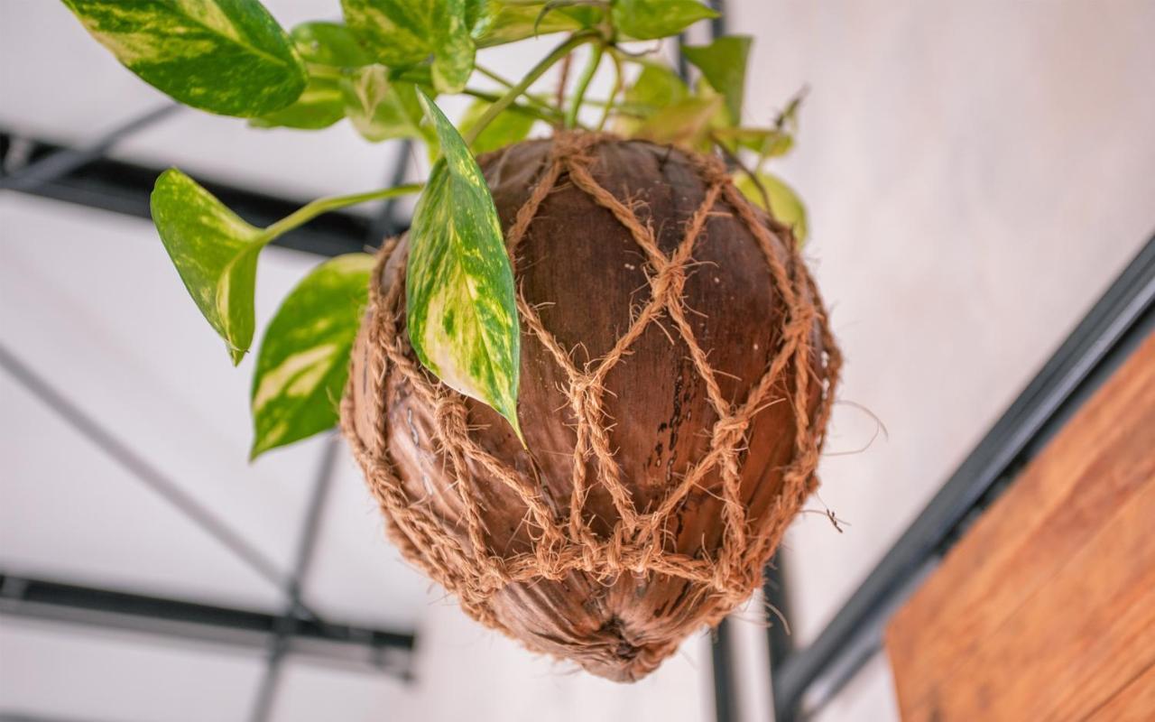 Tranquil Nest Vaavu Hotel Rakeedhoo Eksteriør billede